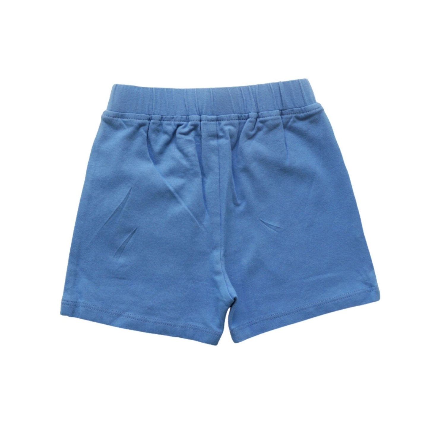 Unisex Shorts - Blue