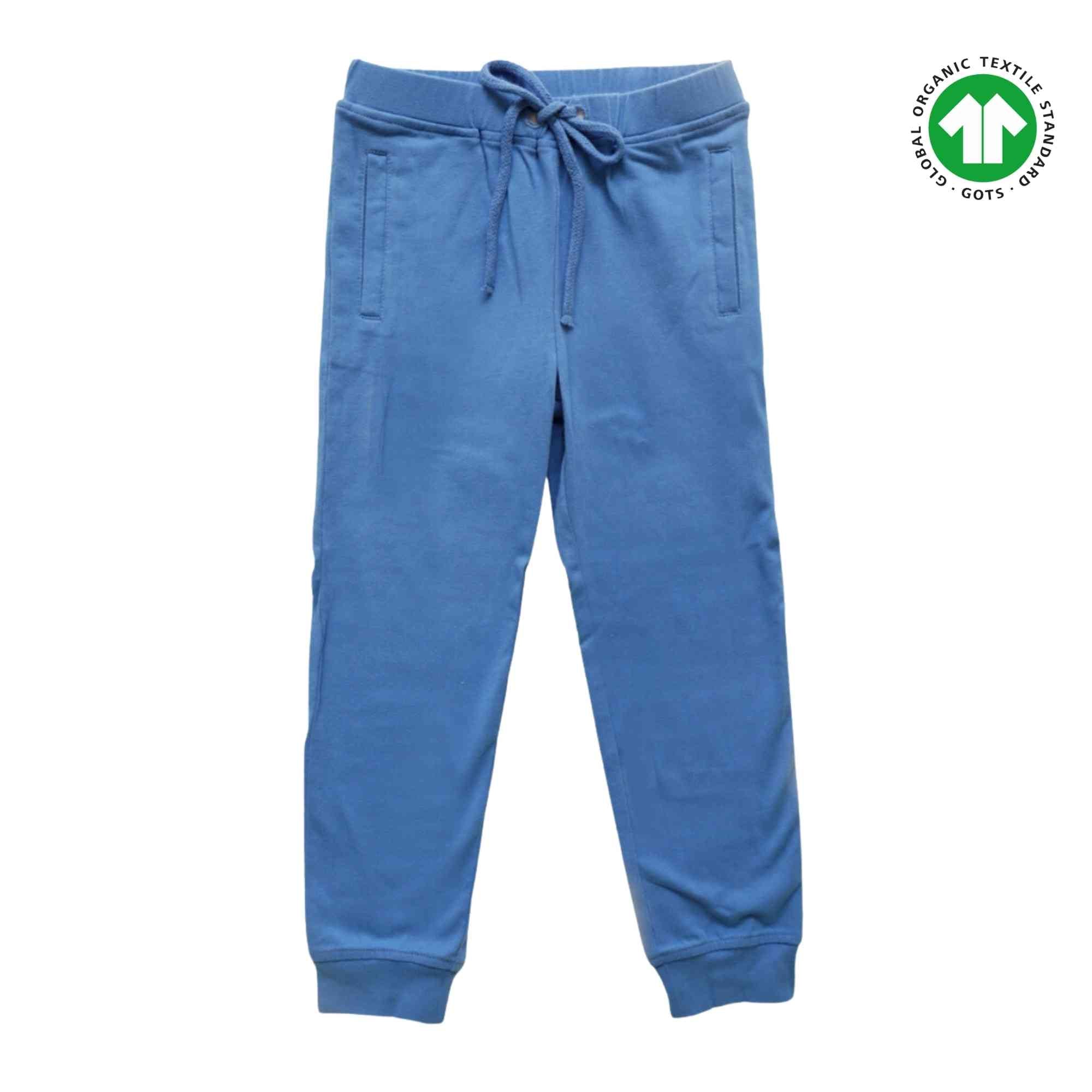 Pantaloons Junior Teal Print Full Length Casual Boys Jogger Fit Jogger  Pants - Selling Fast at