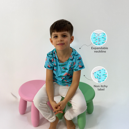 Oversize Tee - Frog & Lotus